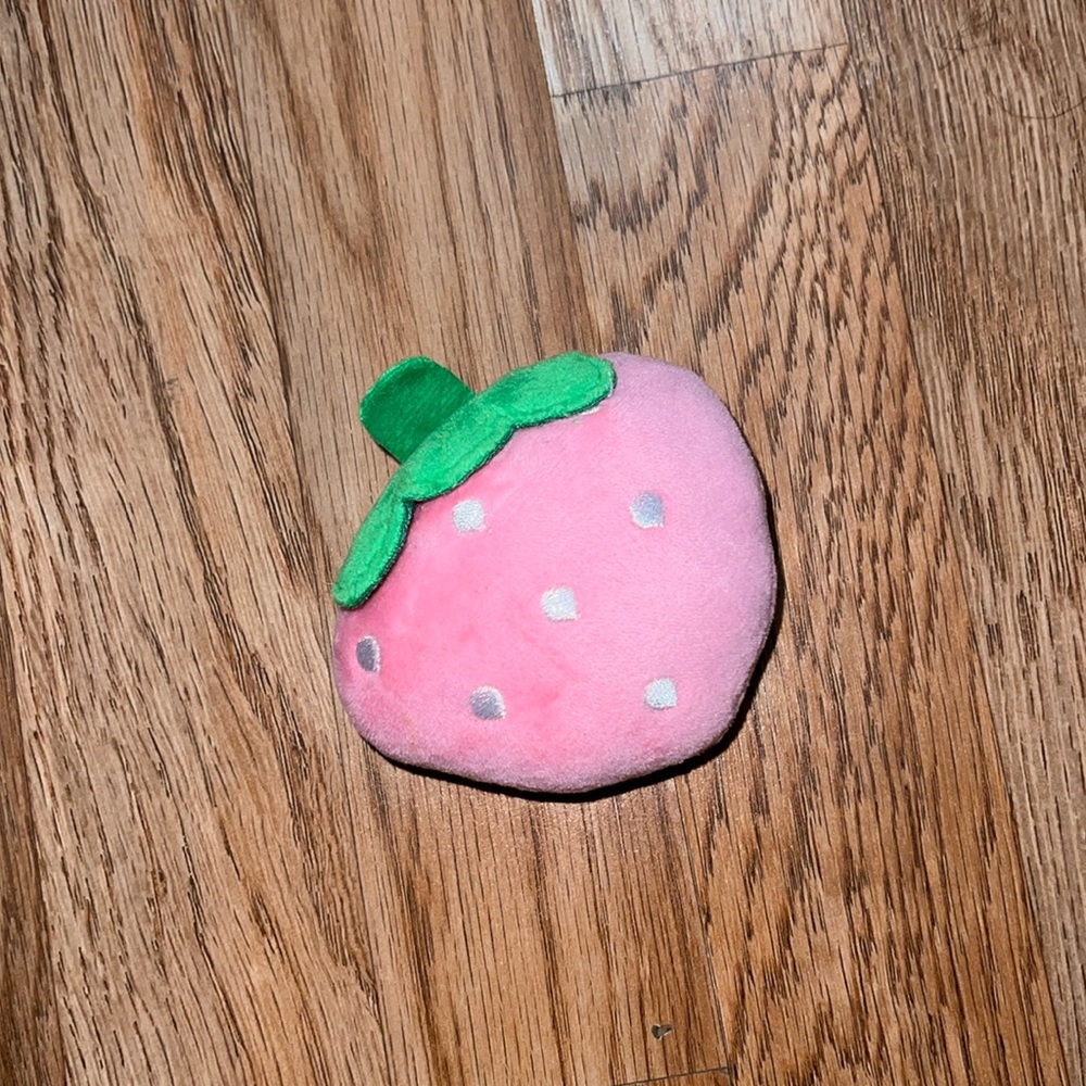 Strawberry Squeaky Dog Chew Toy